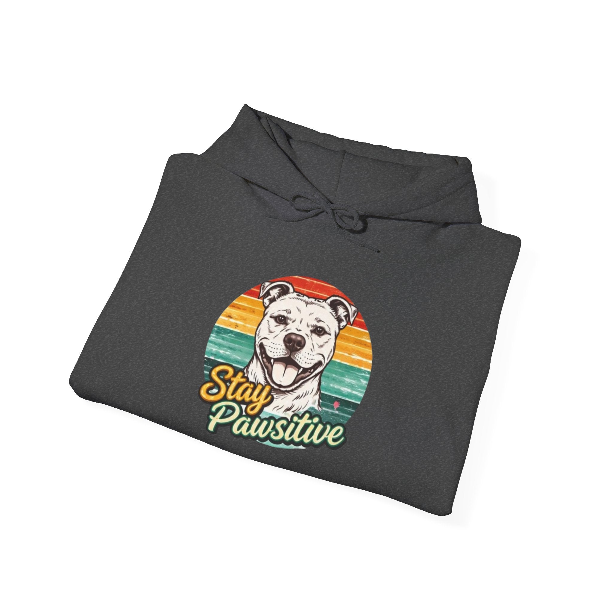 Stay Pawsitive Dog Hoodie — Retro Sun Graphic Sweatshirt for Dog Lovers