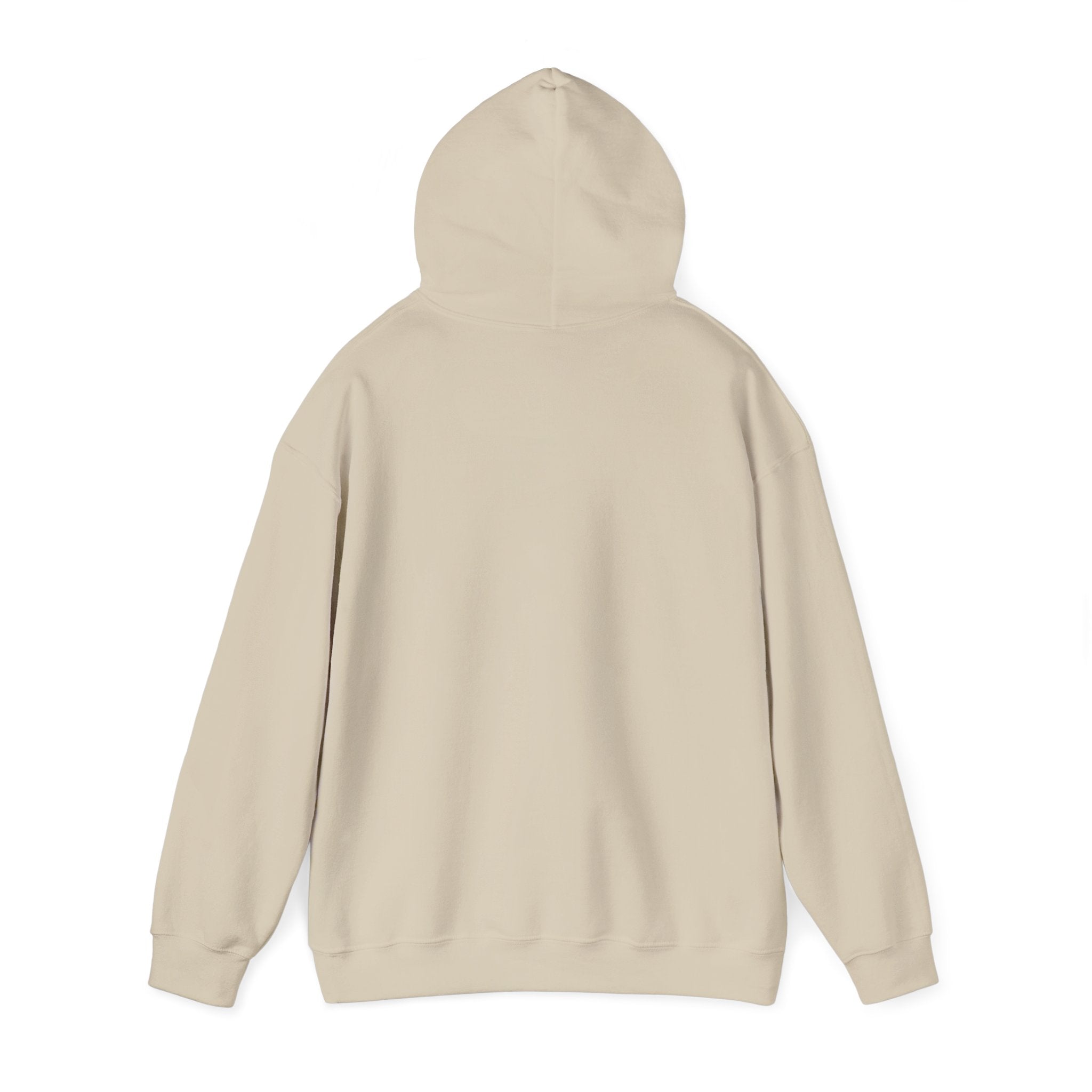 Stay Pawsitive Dog Hoodie — Retro Sun Graphic Sweatshirt for Dog Lovers