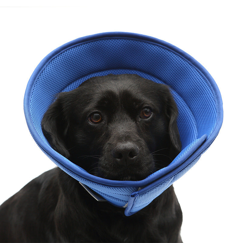 Dog Cat Anti-bite Collar