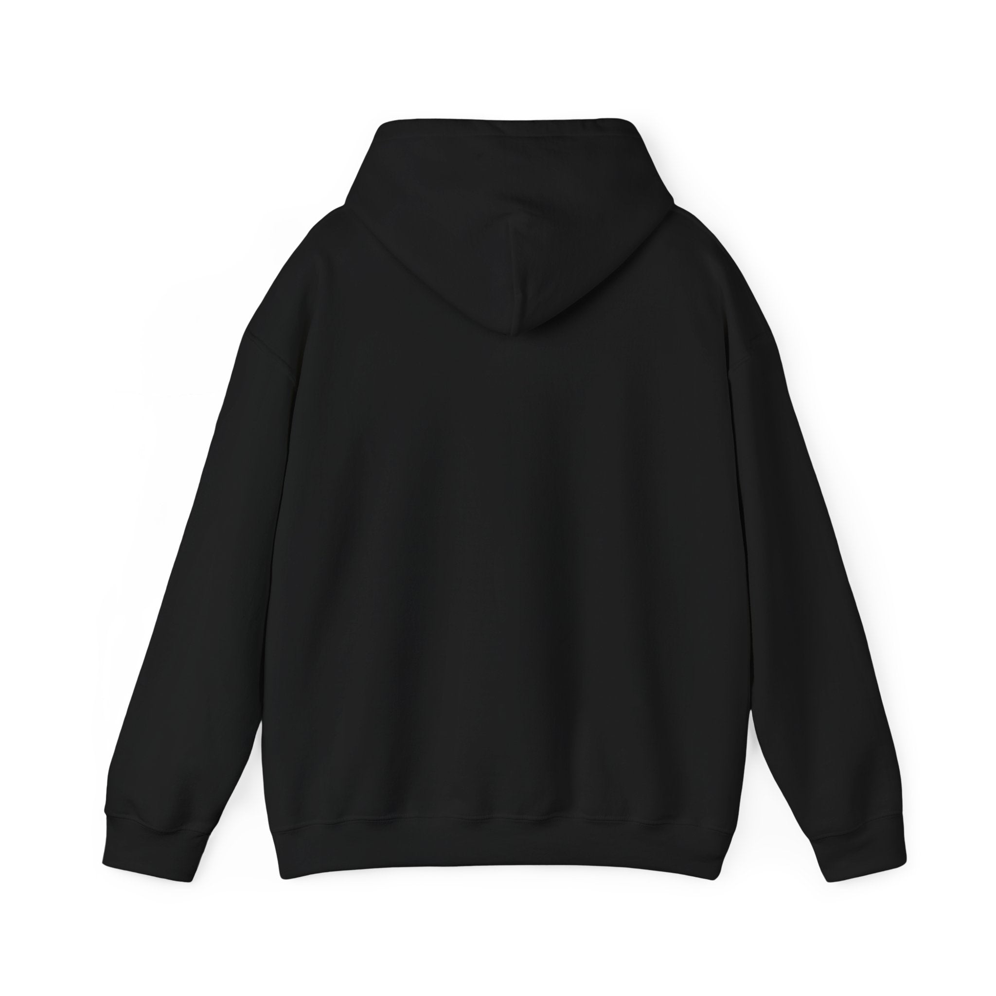 Stay Pawsitive Dog Hoodie — Retro Sun Graphic Sweatshirt for Dog Lovers